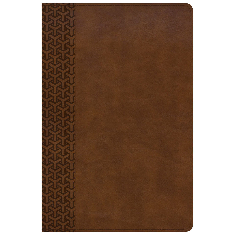 KJV Everyday Study Bible, British Tan LeatherTouch