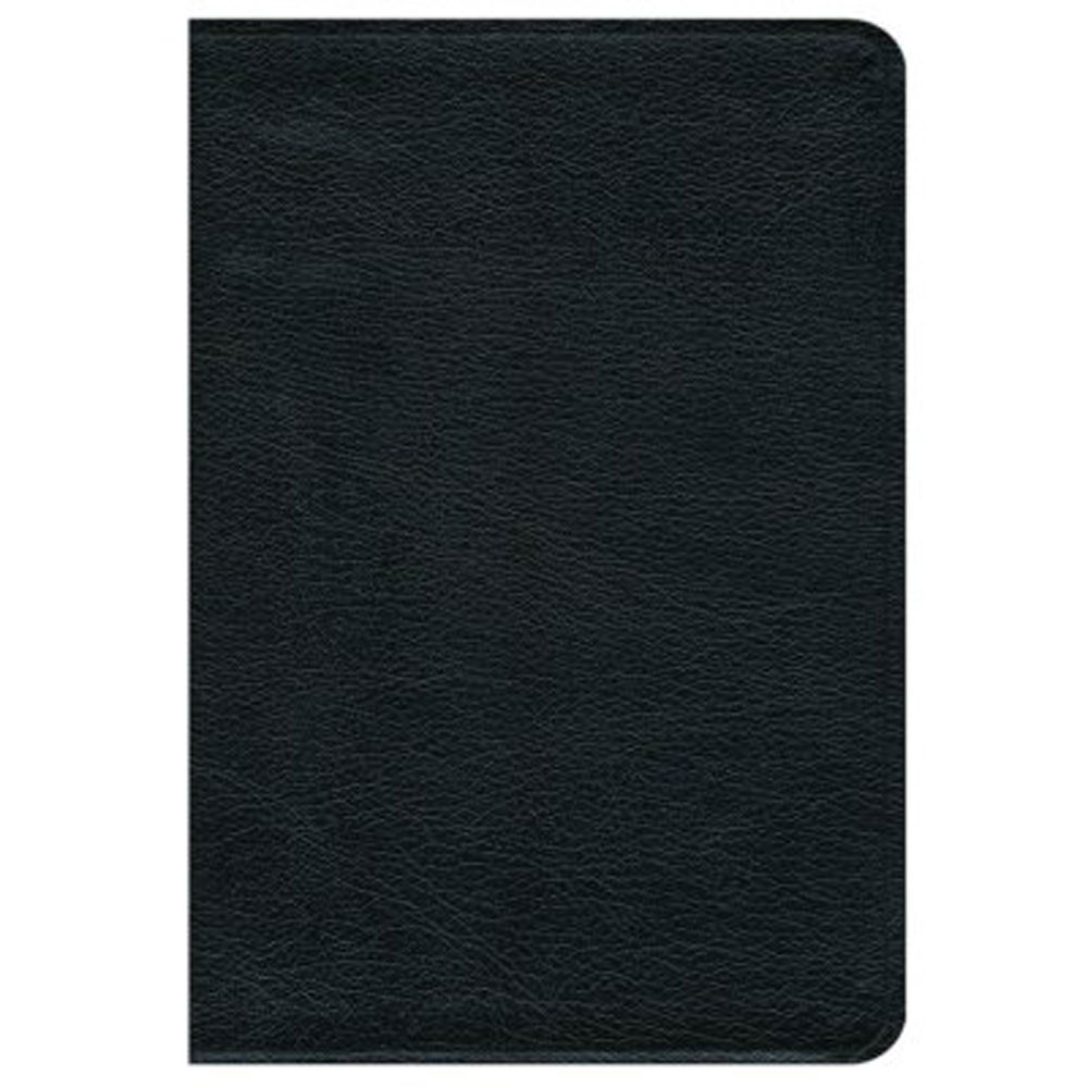 NRSV Premium Gift Bible, Black Bonded Leather