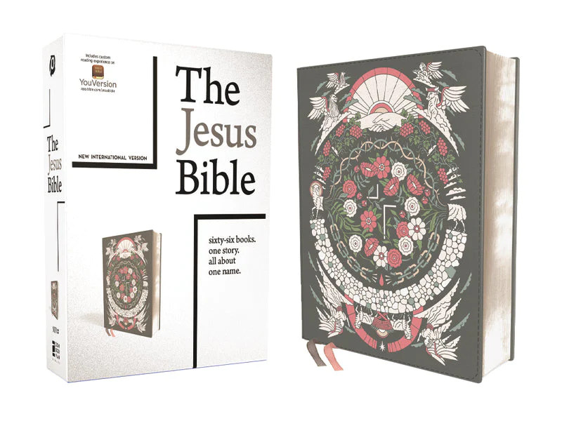 NIV The Jesus Bible Artist Edition, Comfort Print (Soft Leather