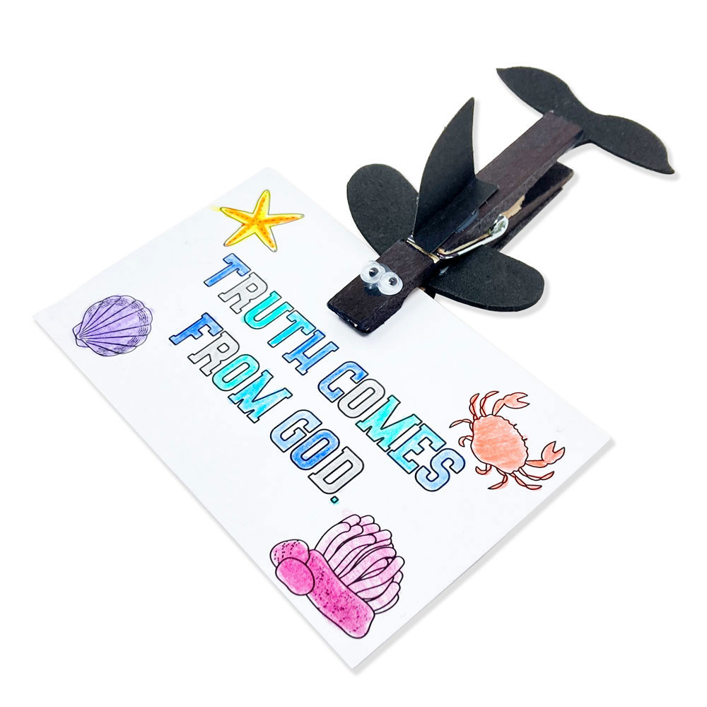 Orca Clip Craft Pack (Pack of 10) - Breaker Rock Lifeway VBS 2024