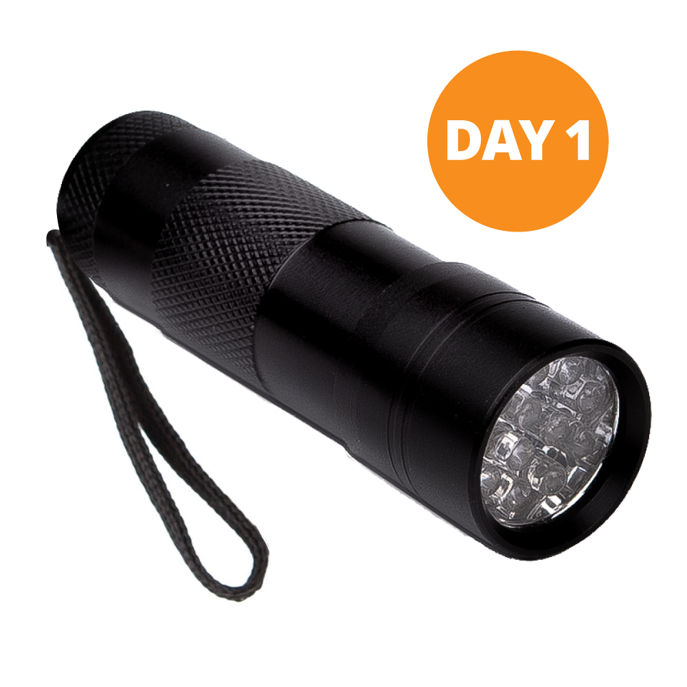 Handheld UV Light - Day 1 Imagination Station - Rainforest Falls by Group VBS 2026