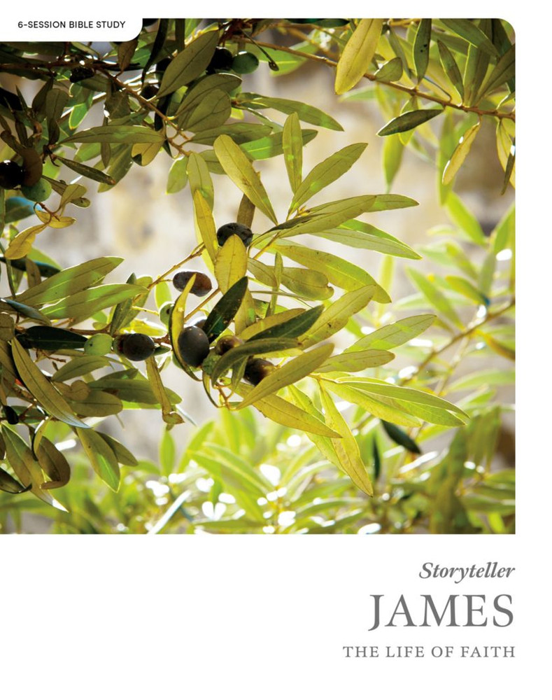 James - Storyteller - Bible Study Book: The Life of Faith