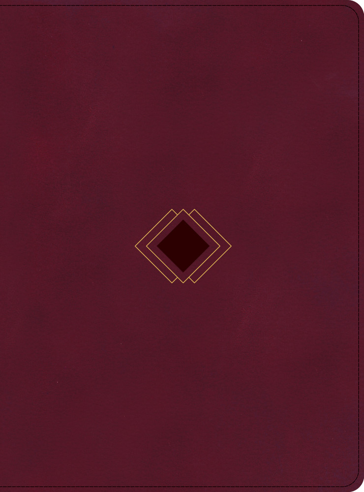 CSB Day-by-Day Chronological Bible, Burgundy LeatherTouch - Bulk Case of 12