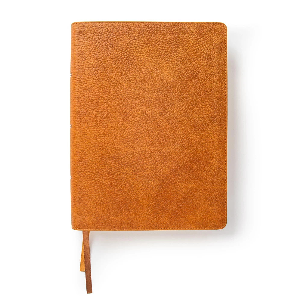 CSB Women's Bible, Butterscotch Genuine Leather, Indexed - Bulk Case of 12