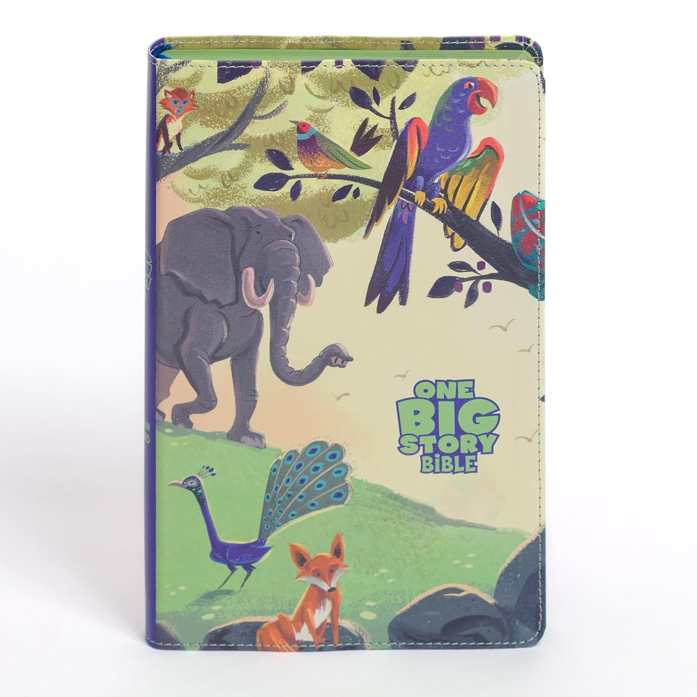 CSB One Big Story Bible, Children (Bonded Leather) Creation LeatherTouch Cover - Bulk Case of 16