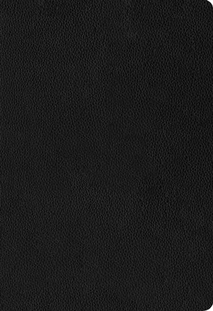 NLT Large Print Thinline Reference Bible (Filament Enabled), Black Genuine Leather - Bulk Case of 16