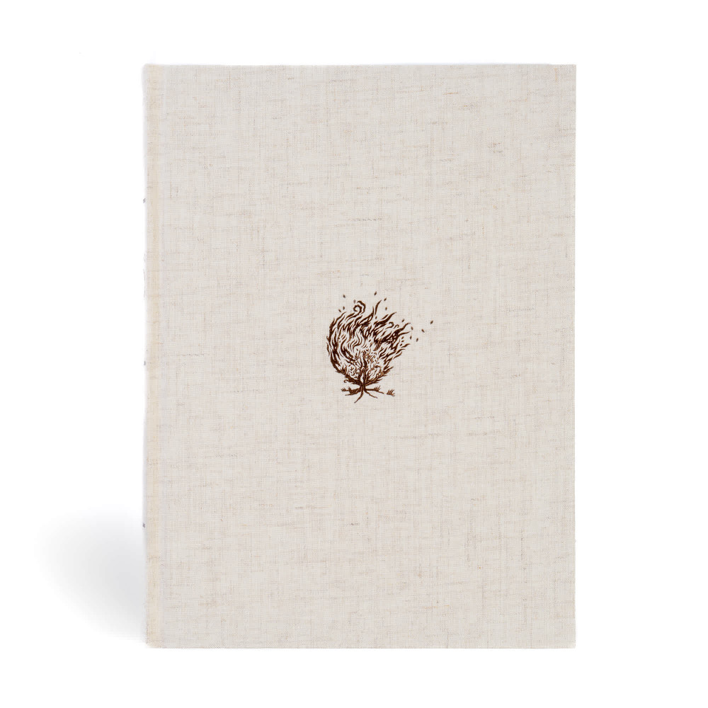 CSB Experiencing God Bible: Cream Cloth over Board, Indexed - Case of 8