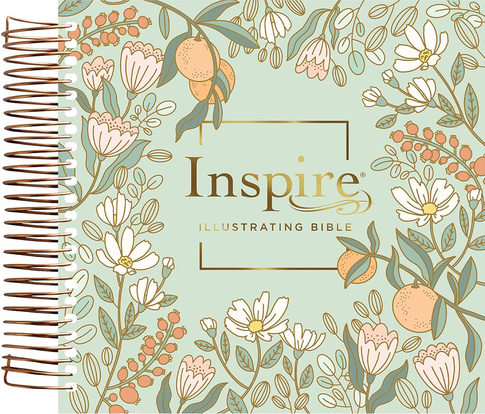 NLT DaySpring Inspire Illustrating Bible, Filament Enabled - Case of 4