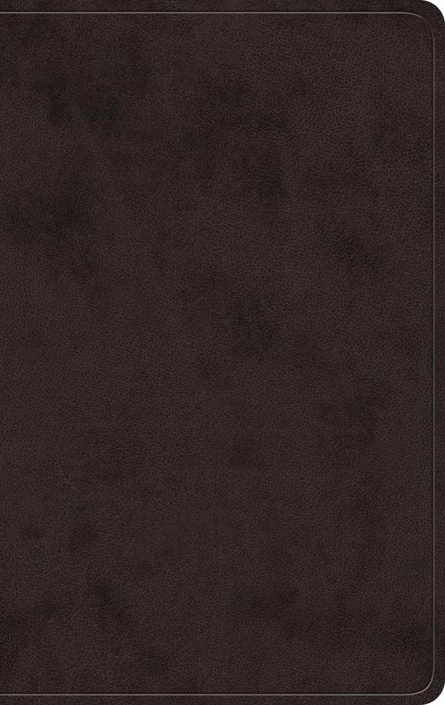 ESV Giant Print Value Personal Size Bible (TruTone, Black): Holy Bible, English Standard Version - Case of 12