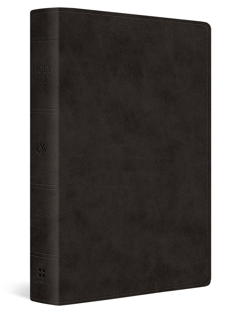 ESV Giant Print Value Thinline Bible (TruTone, Black) - Case of 16