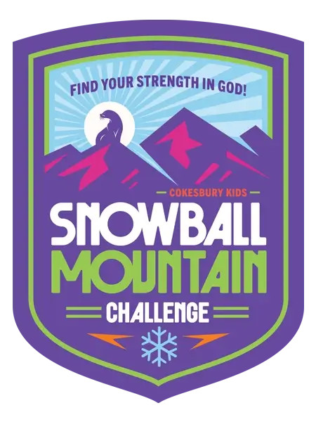 VBS 2026 Snowball Mountain Challenge Reflection Time Leader Download