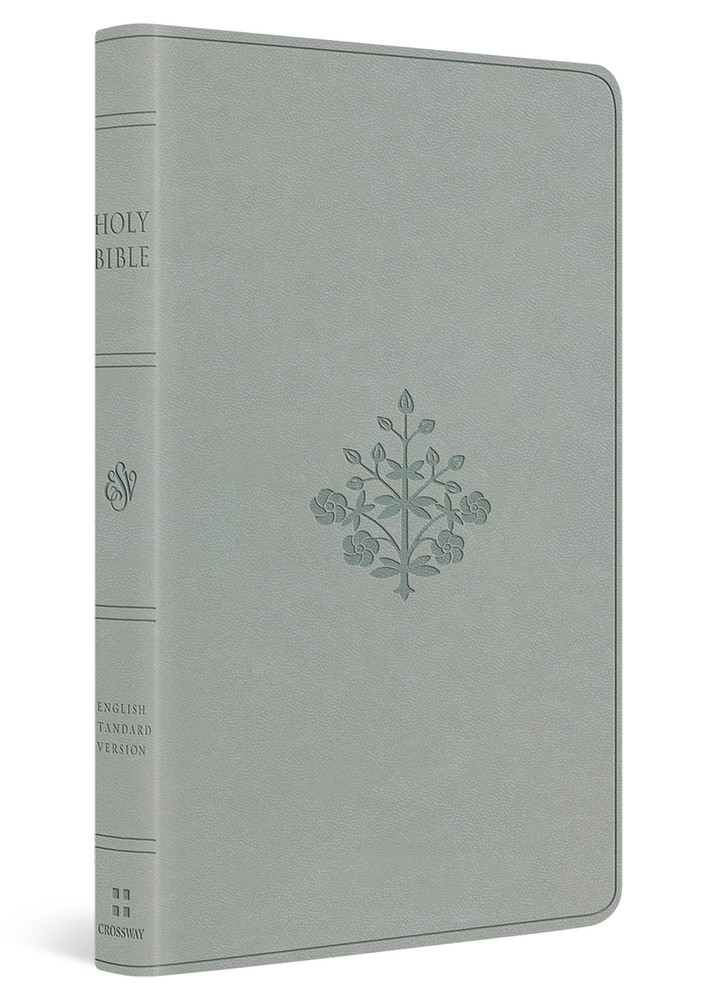 ESV Large Print Value Thinline Bible - River Stone, Branch Design Trutone - Case of 24