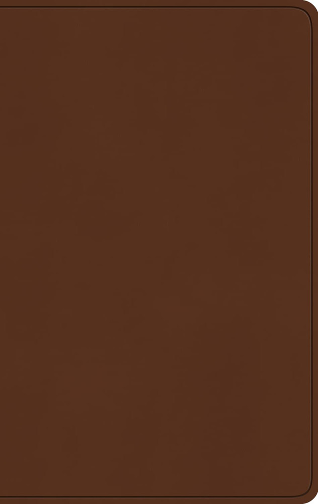 ESV Large Print Value Thinline Bible - Camel Trutone - Case of 24
