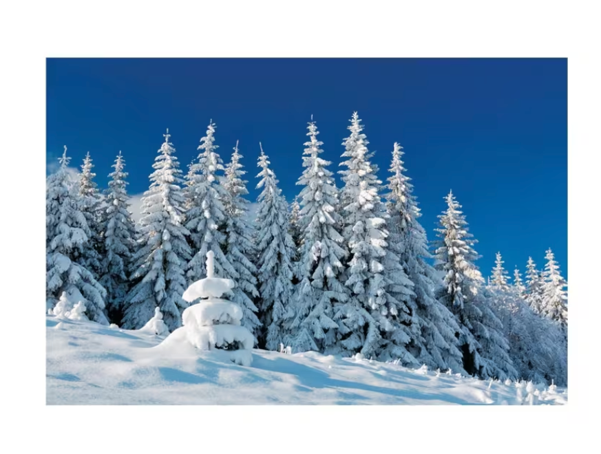 9 Ft. x 6 Ft. Winter Woodland Scene Plastic Backdrop - 3 Pc.