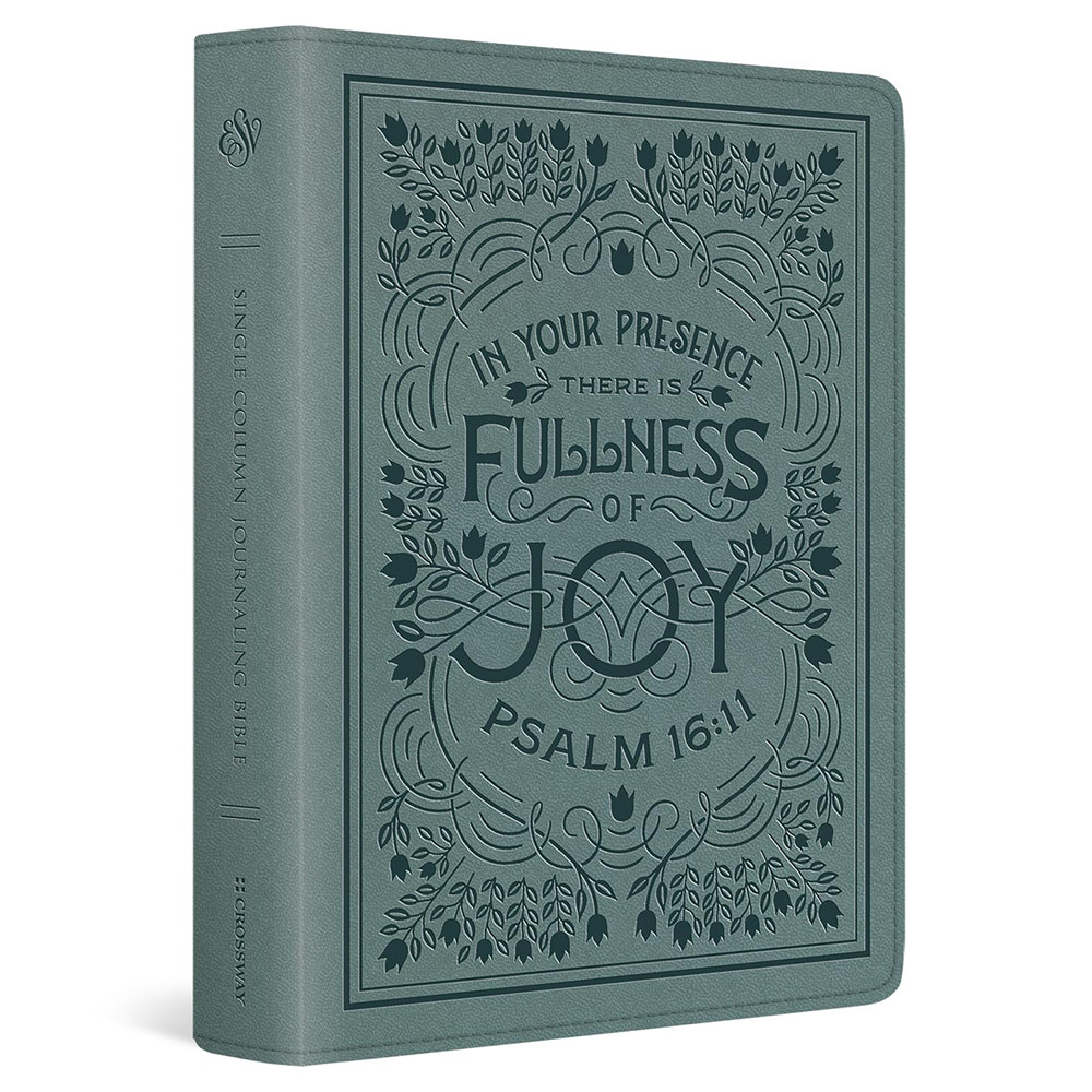 ESV Single Column Journaling Bible-Paris Sky, Psalm 16:11 Design Trutone - Case of 8