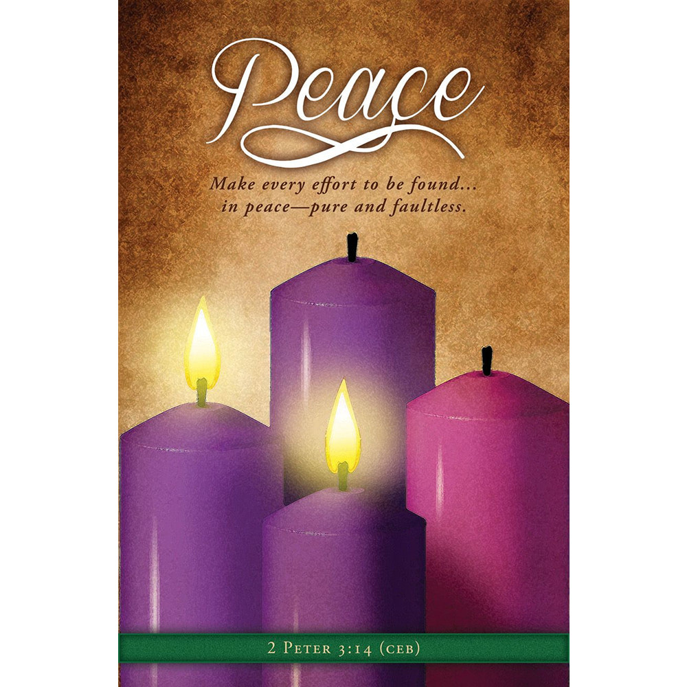 Church Bulletin 11" - Advent - Peace - Make every effort to be found in peace - 2 Peter 3:14 CEB (Pack of 100)