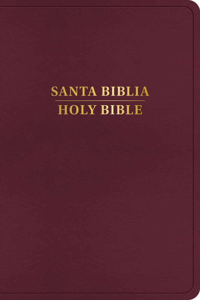 RVR 1960/KJV Biblia bilingue, borgona imitacion piel (Edicion 2024) - Case of 12