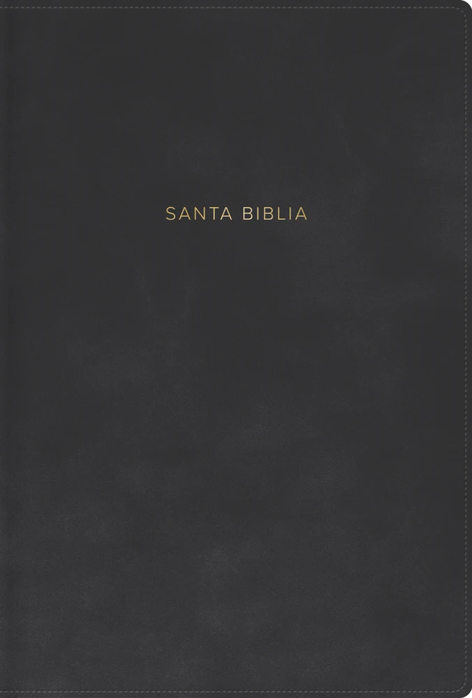 RVR 1960 Biblia Letra Grande, Tamaño Manual, Gris, Simil Piel - Case of 12