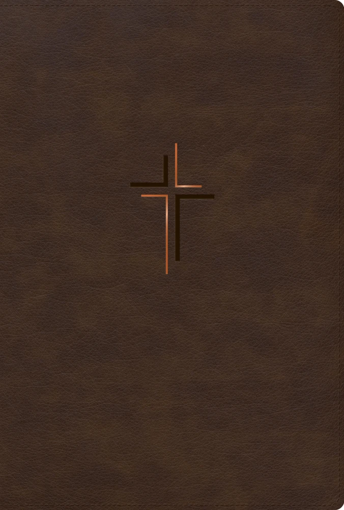 RVR 1960 Biblia Letra Grande, Tamano Manual, Edicion Especial, Simil Piel Cafe Tierra - Case of 12