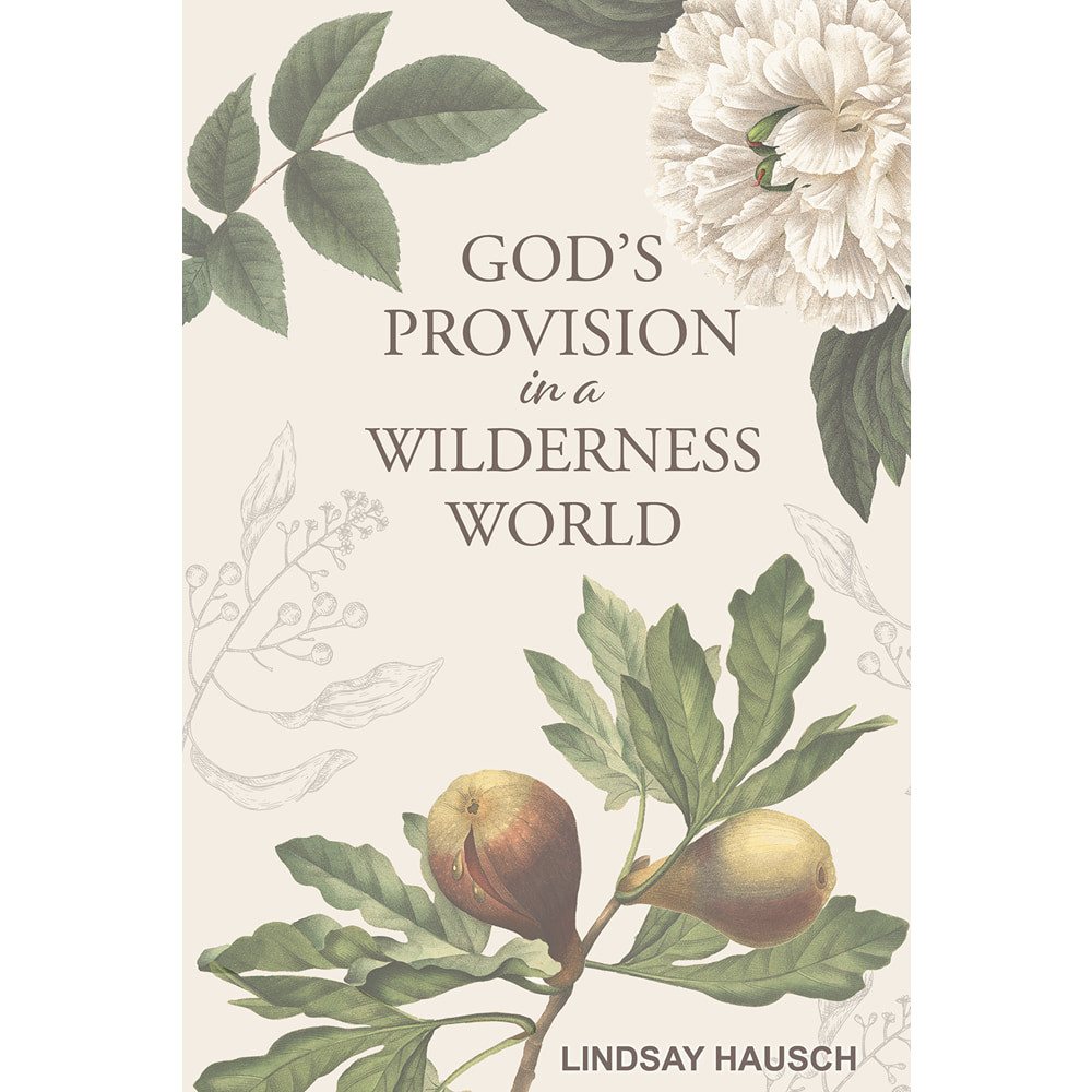 God's Provision in a Wilderness World