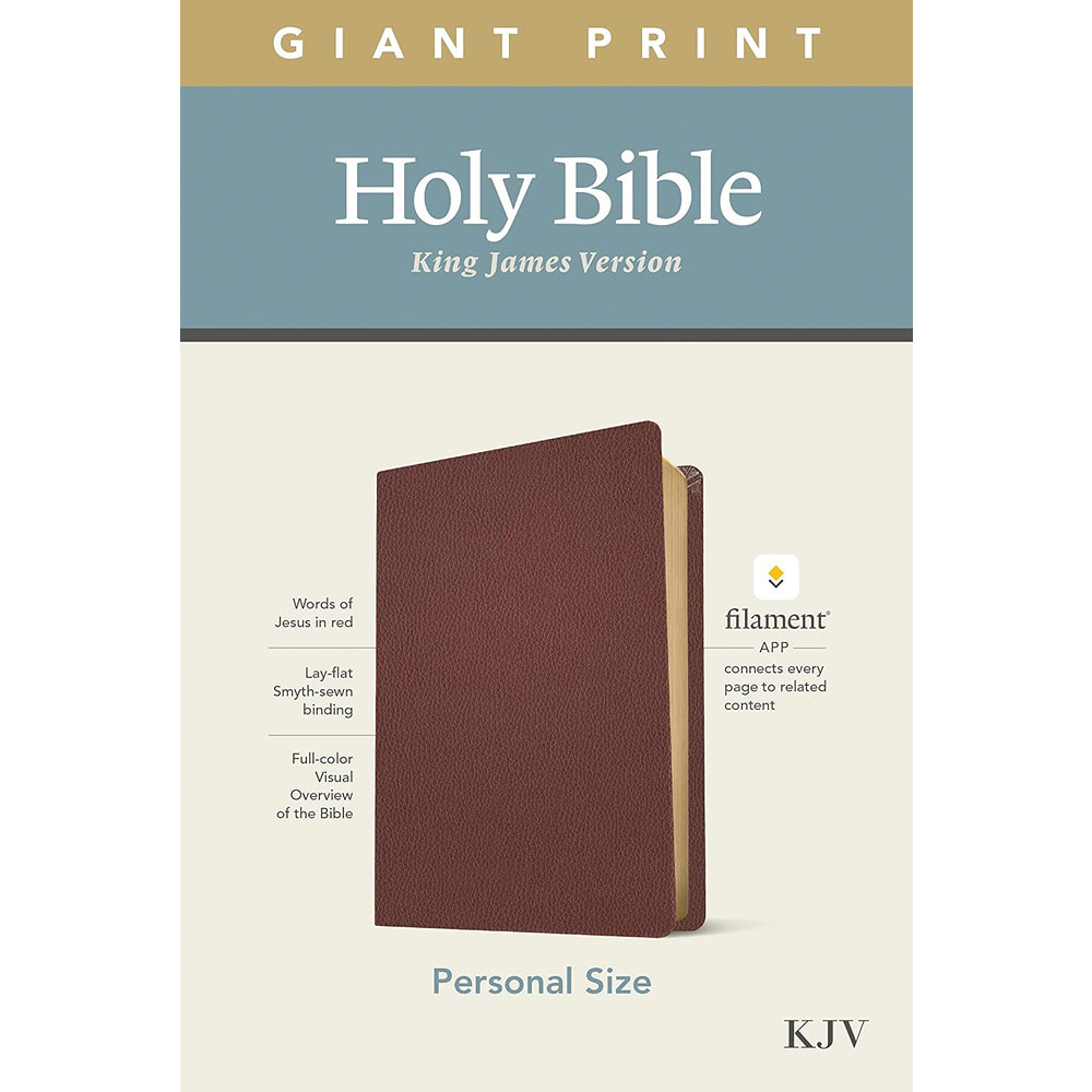 KJV Personal Size Giant Print Bible, Filament Enabled (Genuine Leather, Burgundy, Red Letter)