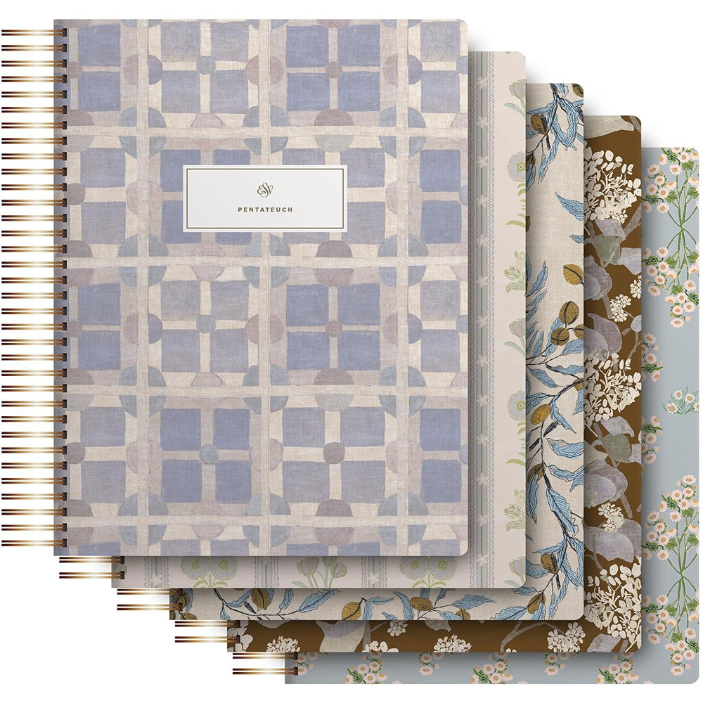 ESV Spiral-Bound Journaling Bible, Five-Volume Set (Hardcover, Cover Artwork by Lulie Wallace)