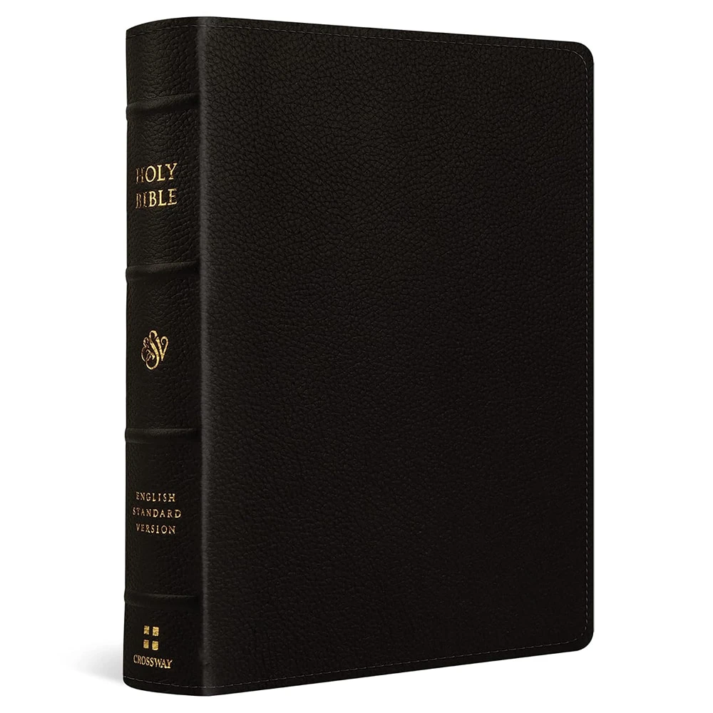 ESV Single Column Journaling Bible (Buffalo Leather, Deep Brown, Large Print)