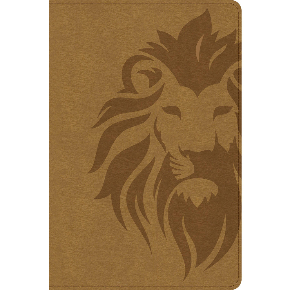KJV One Big Story Bible, Revised & Updated, Easy-to-Read Optimal Type, Brown LeatherTouch - Case of 18