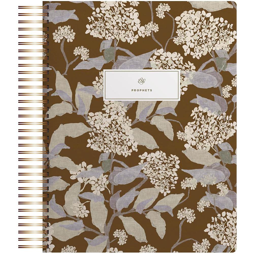 ESV Spiral-Bound Journaling Bible, Prophets (Hardcover, Cover Artwork by Lulie Wallace) - Case of 6