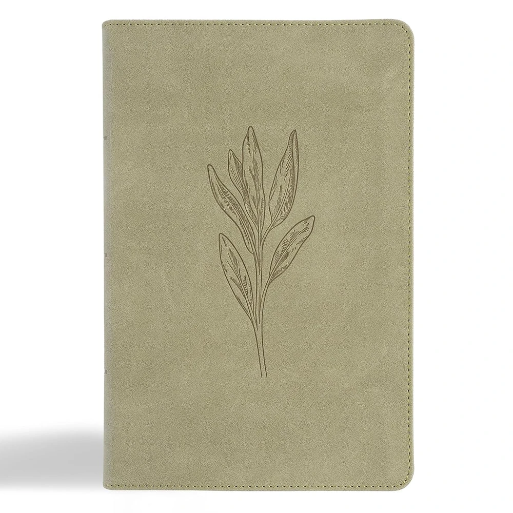CSB Large Print Personal Size Reference Bible, Digital Study Edition, Easy-to-Read Optimal Type, Sage Suedesoft LeatherTouch, Indexed - Case of 12