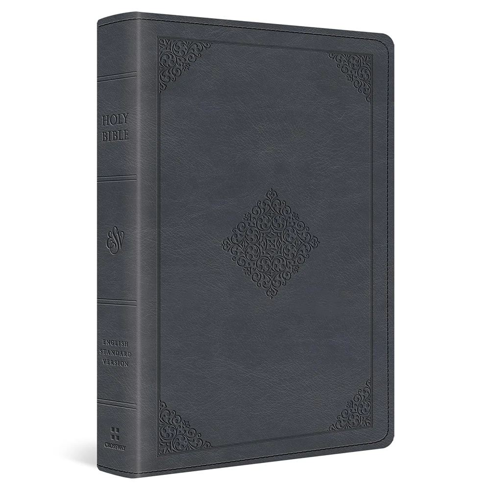 ESV Large Print Wide Margin Bible (TruTone, Slate Blue, Ornament Design) - Case of 10