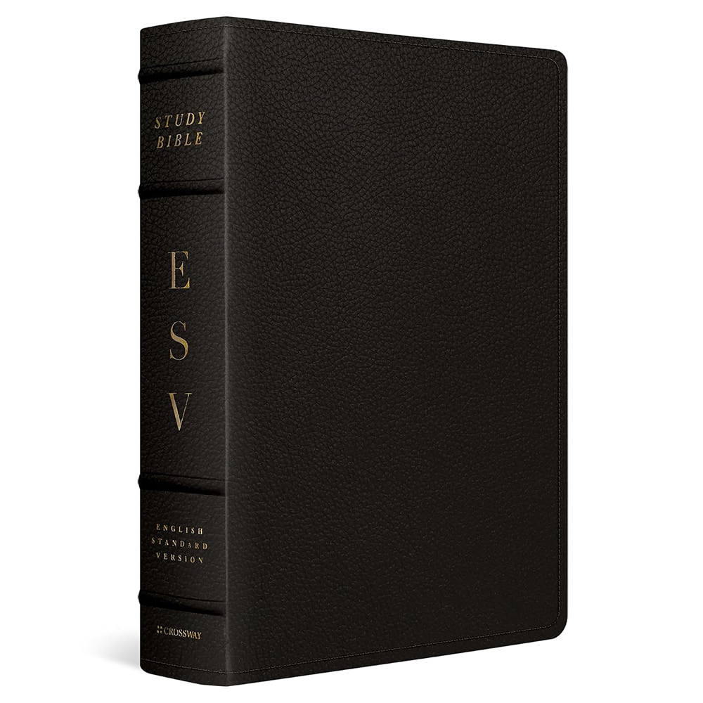 ESV Study Bible, Large Print (Buffalo Leather, Deep Brown)
