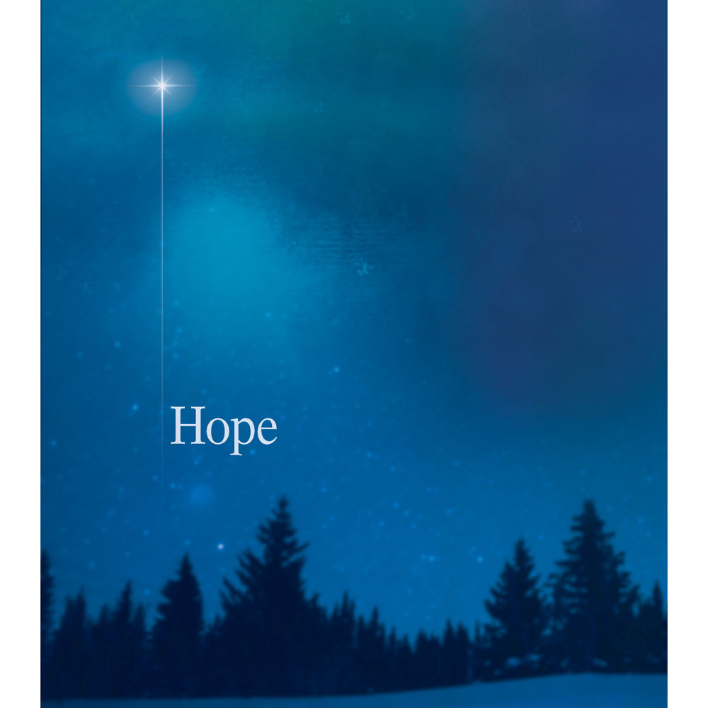 Church Bulletin 14" - Advent-Christmas - (Pack of 50)