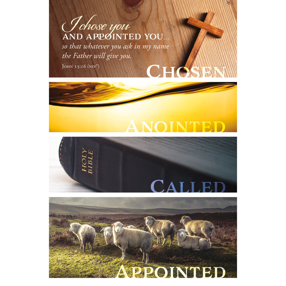 Bulletin 11" Installation and Ordination I chose you and appointed you (Pack of 100)