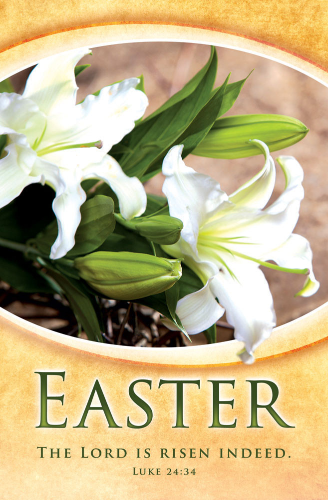 Church Bulletin 11" - Easter - Risen Indeed (Pack of 100)