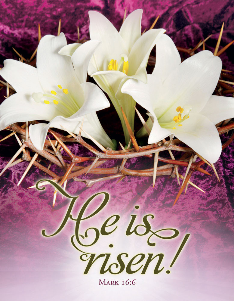 Church Bulletin 17" - Easter - He Is Risen! (Pack of 100)
