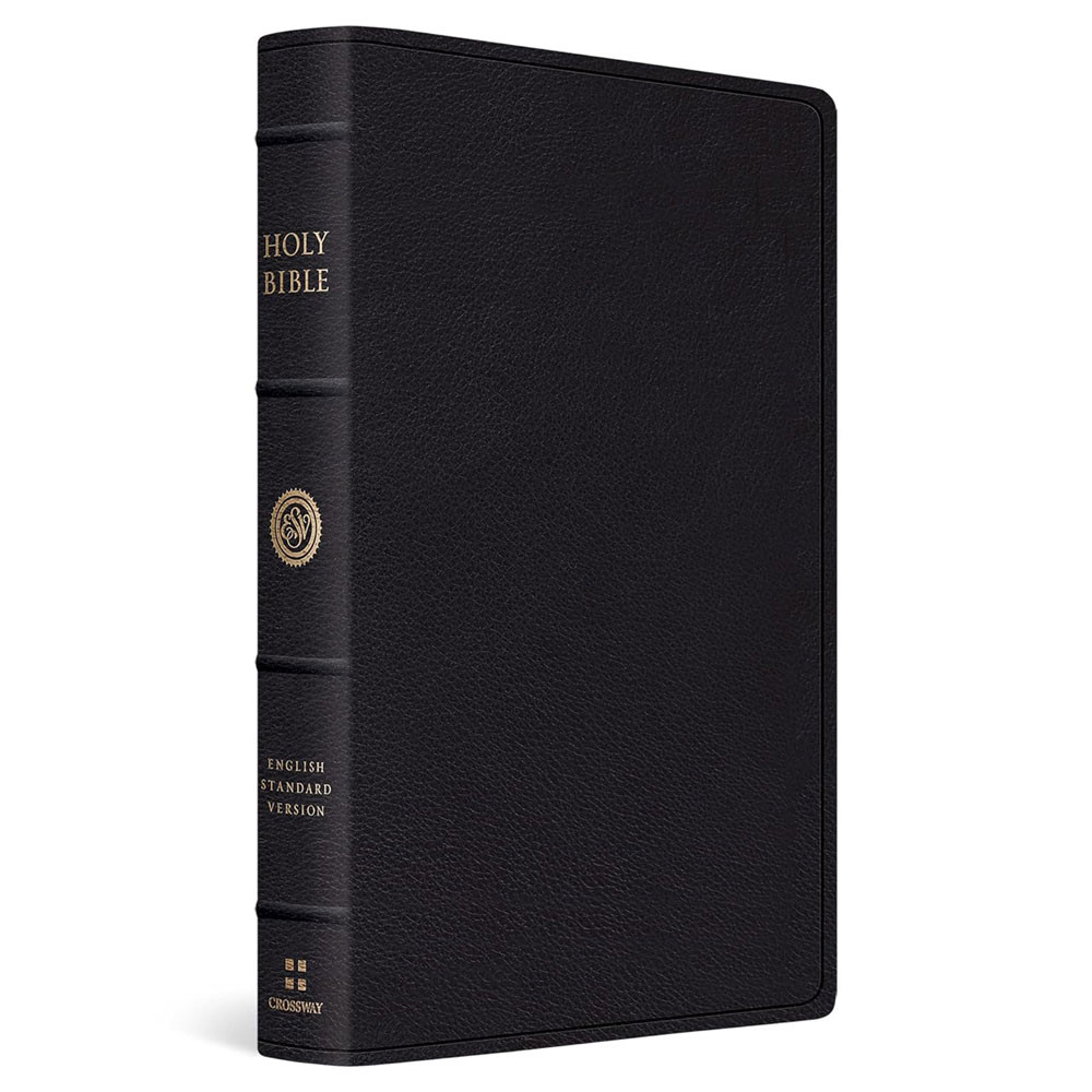 ESV Verse-by-Verse Reference Bible (Top Grain Leather, Black) - Case of 10