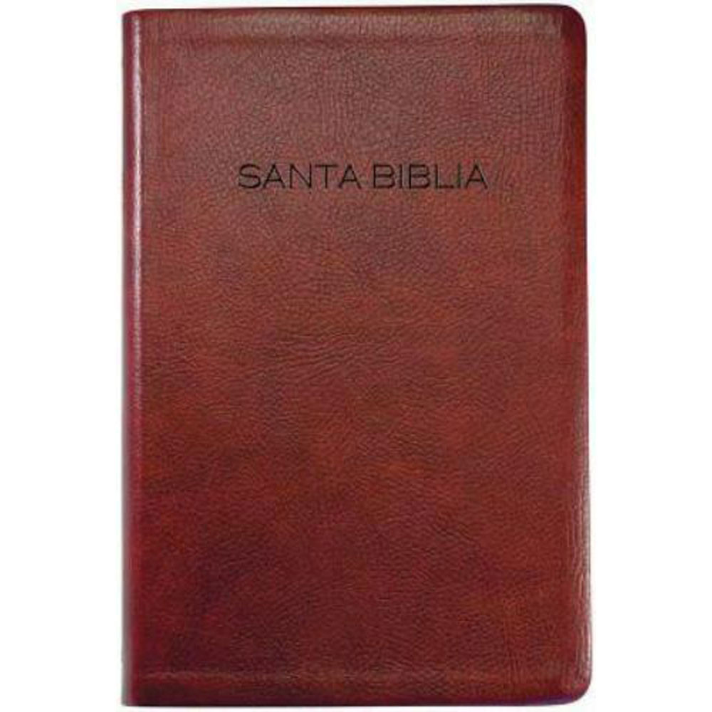 NVI Bible (Case of 12) - 9781623370558