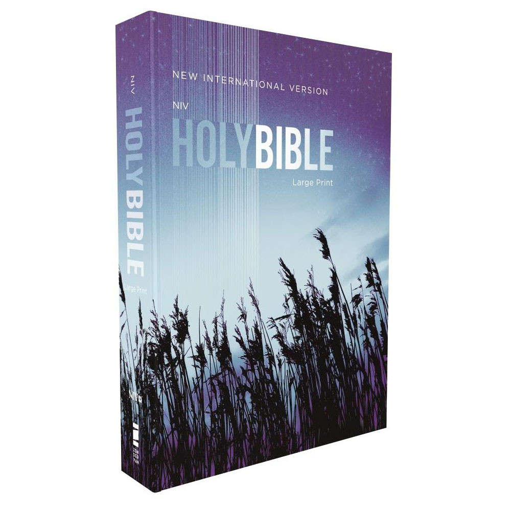 NIV Outreach Bible - Large Print - Paperback (Case of 20) - 9780310446378