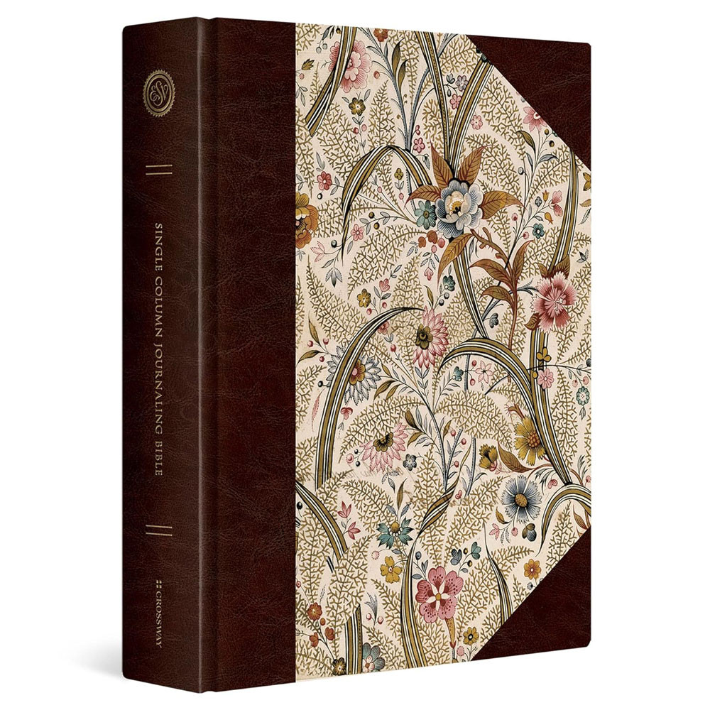 ESV Single Column Journaling Bible, Large Print (Hardcover, Summer