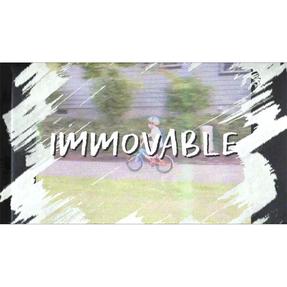 Immovable - 1 Corinthians 15:57-58 - Scripture Song Video - Seeds Family Worship