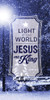 Church Banner - Christmas - Light of the World