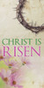 Church Banner - Easter - Christ Is Risen