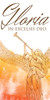 Church Banner - Christmas - Gloria in Excelsis Deo
