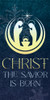 Church Banner - Christmas - Dark Frost Advent - Christ