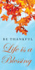 Church Banner - Fall & Thanksgiving - Be Thankful - B31111