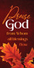 Church Banner - Burgundy Orange Fall - Praise God