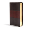 NIV Rainbow Study Bible, Saddle Brown LeatherTouch