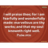 Junior and Primary Memory Verse Posters - Set of 6 Posters - Zoomerang VBS 2022