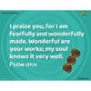 Junior and Primary Memory Verse Posters - Set of 6 Posters - Zoomerang VBS 2022